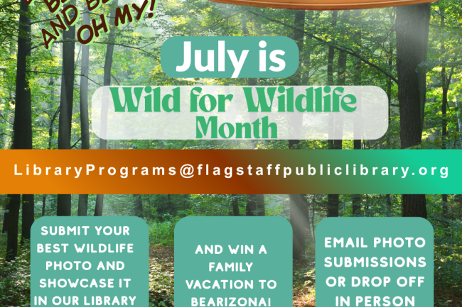 Promotional flyer for a wildlife photography contest. Participants can submit a wildlife photo by June 5 for a chance to have it displayed at the library and win a family vacation to Bearizona. Photos may be emailed to LibraryPrograms@flagstaffpubliclibrary.org or dropped off in person. July is designated as Wild for Wildlife Month.
