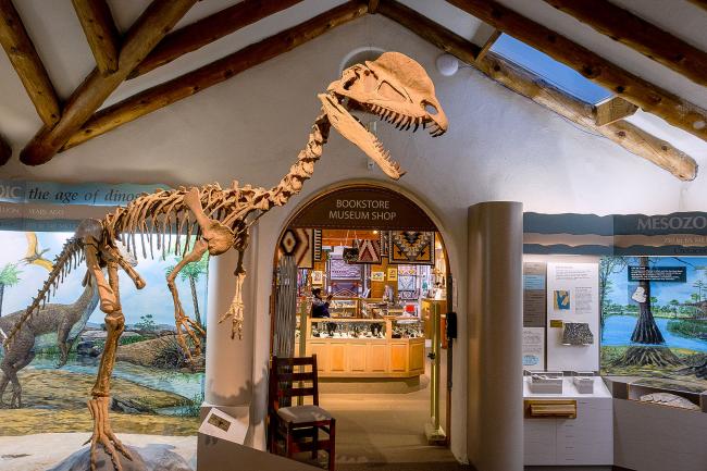 Photo of a museum exhibit featuring a large dinosaur skeleton standing beneath exposed wooden ceiling beams. The dinosaur has a long neck and tail, short forelimbs, and an open jaw displaying sharp teeth. Behind the skeleton are illustrated prehistoric scenes and informational geology displays. An arched doorway in the center leads to a bookstore and museum shop displaying artwork and merchandise.